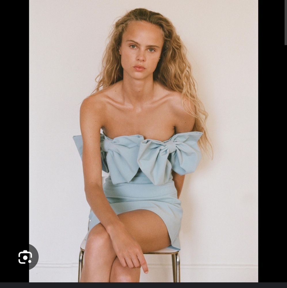 ZARA STRAPLESS BOW SIDES MINI  DRESS